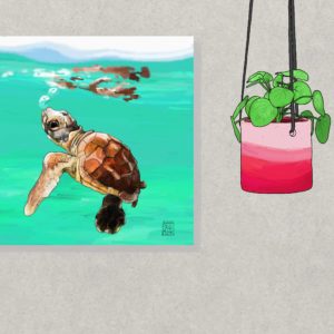 Baby Turtle By Sue Flask